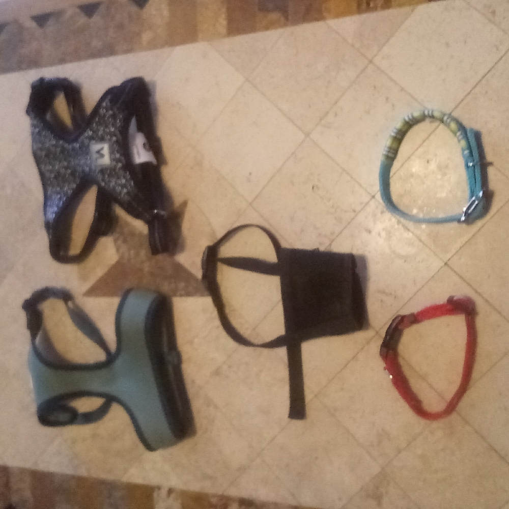 Dog Collars size Medium NEW No Tags